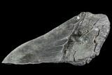 Partial Fossil Megalodon Tooth - Serrated Blade #89450-1
